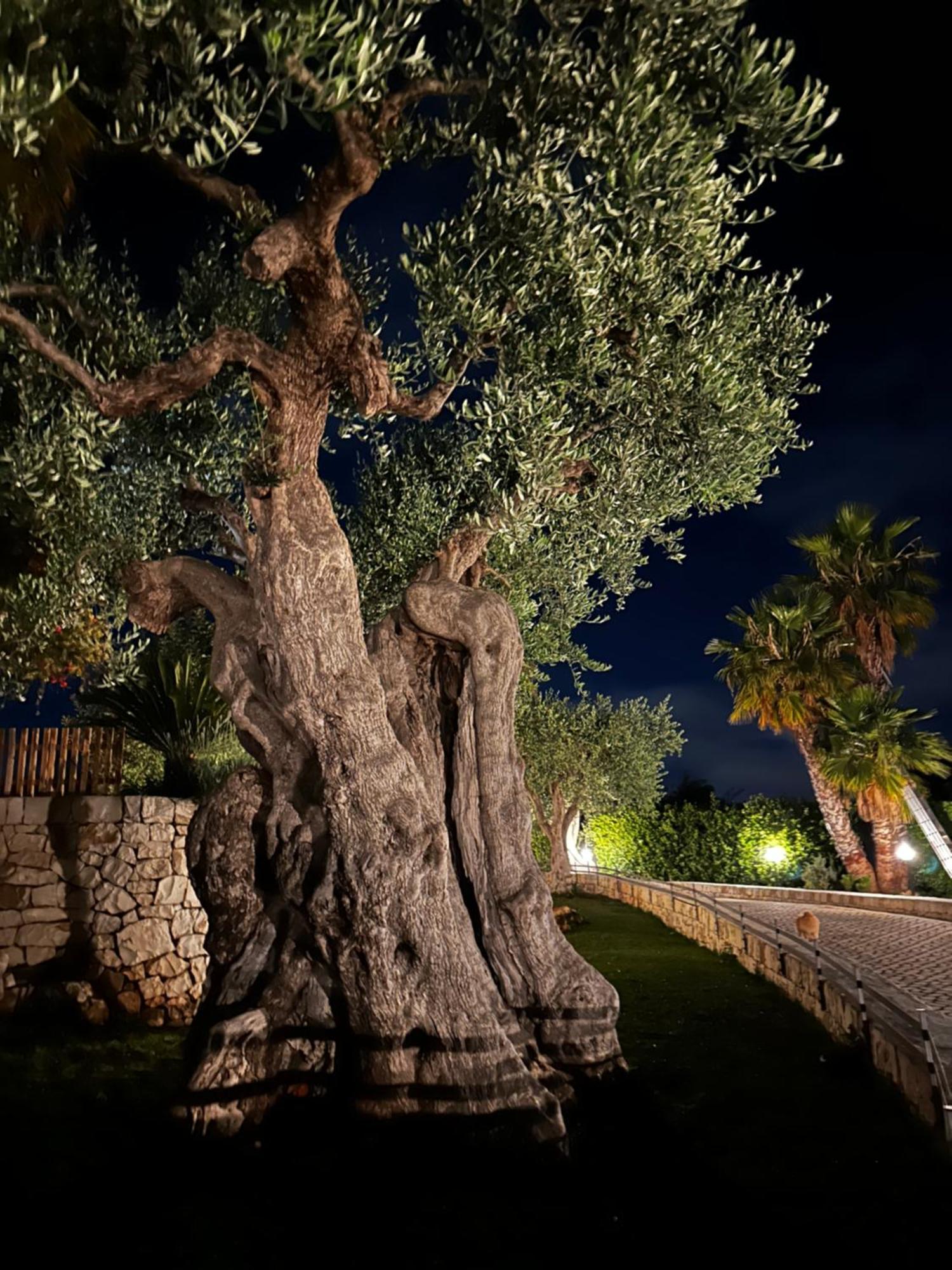 Alla Villa Di Angelo Monopoli Exteriör bild